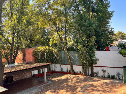 Local En Venta Y Renta, La Concepción