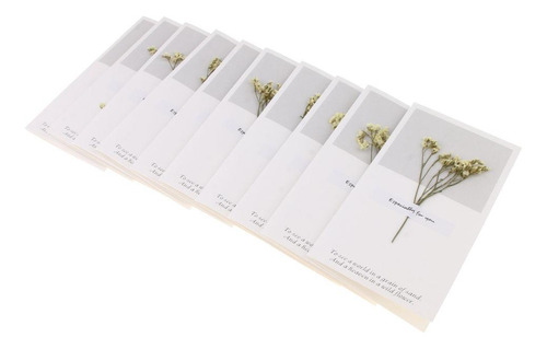 Paquete Flores Secas Tarjetas De Felicitación Amarillo