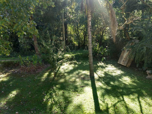 Imagen 7 de 10 de Casa - Rama Negra