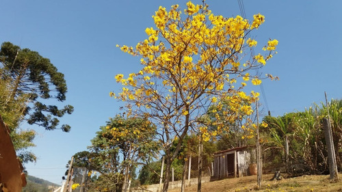 Imagem 15 de 30 de Chácara 22.400m2, Rica Em Água Com Riacho, 3 Casas Sendo 1 Sede E 2 Casas De Caseiro, Pomar, Topografia Plana, Ótima Localização - Ch00218 - 70678592