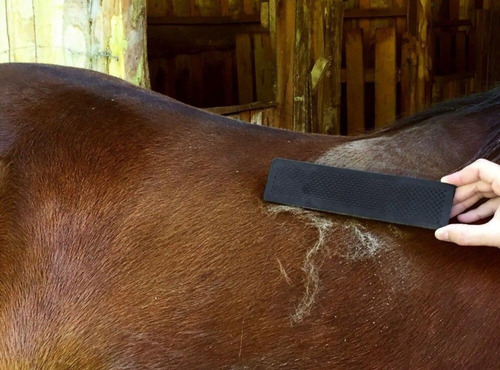 Imagem 5 de 6 de Kit Raspadeira Multiuso Para Cavalos Equinos E Bovinos Am F