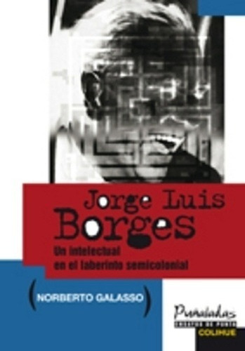 Libro Jorge Luis Borges - Norberto Galasso