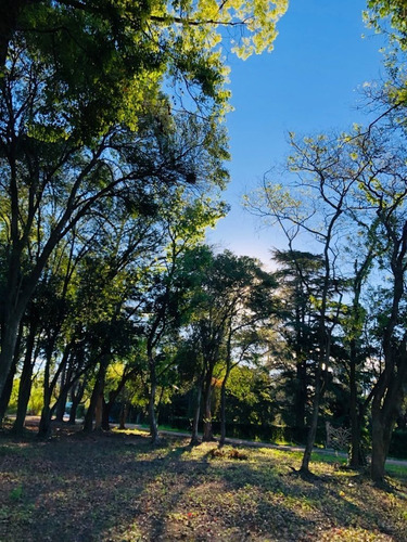 Imagen 7 de 8 de Venta Terrenos Super Arbolados En Zona Casa Quintas -