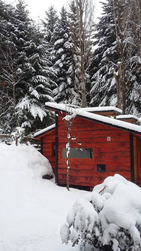 Alquiler De Cabaña En Bariloche, En Hermoso Bosque