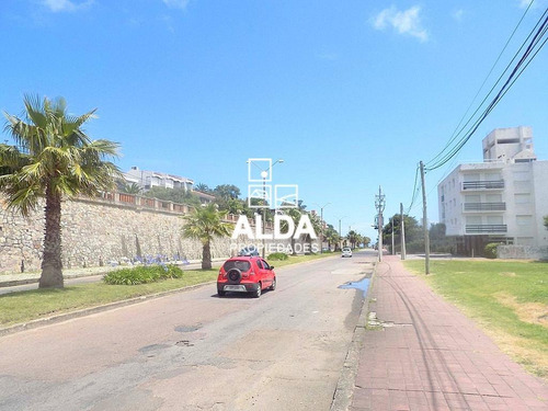 Imagen 3 de 14 de Terreno Puerto Piriápolis Venta Te100842