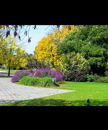 Imagen 2 de 4 de Venta Parcela En Jardín Del Pilar