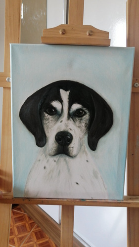 Pintura Por Encargo Mascotas Personalizada Lienzo 40x50cm