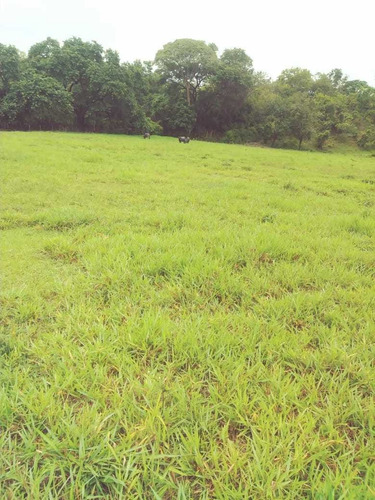 Imagen 15 de 15 de Finca En El Paguey, Barinas En Venta