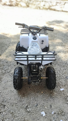Imagen 7 de 8 de Minicuatrimoto O Miniatv
