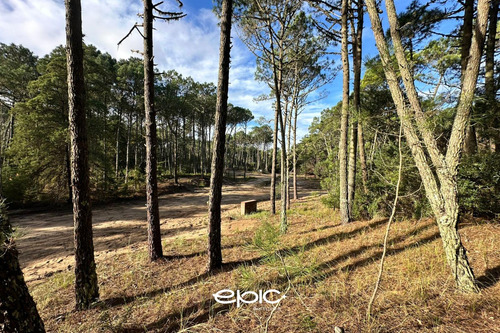 Terreno En Venta, Los Enebros, Cariló