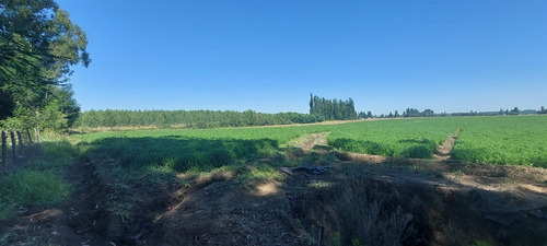 18 Hec Oportunidad Se Vende Terreno Agrícola Retiro Talca
