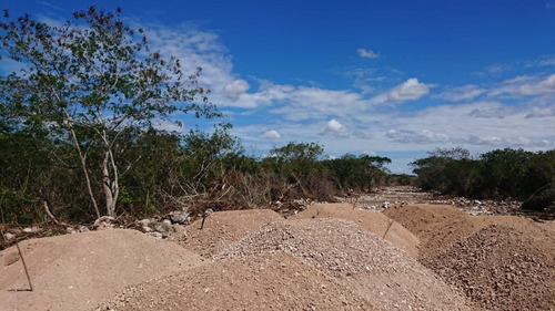 Imagen 4 de 7 de Lotes Semi Urbanizados En Venta En Attarah