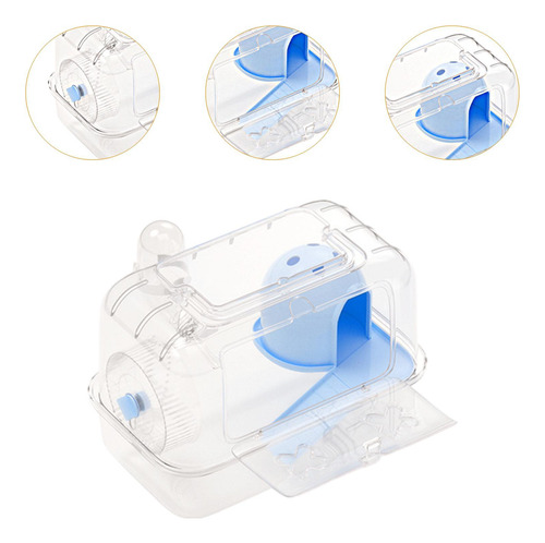 Hábitat De Jaula De Hámster, Ejercicio Azul Transparente
