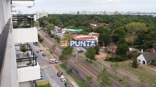 Imagen 8 de 30 de Apartamento En Venta - Roosevelt