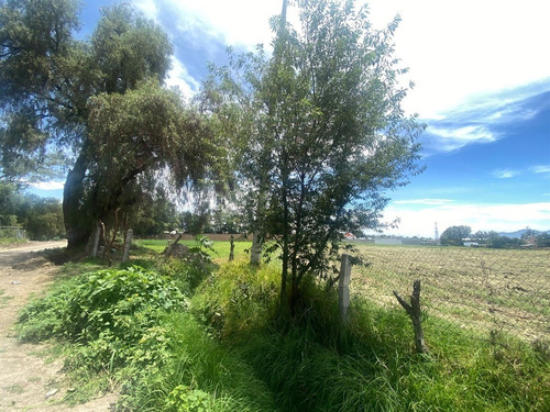 Terreno En Renta, Tepotzotlan Cod. Tr4