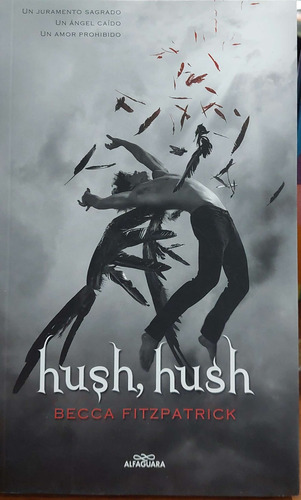 Hush Hush Becca Fitzpatrick Blok *