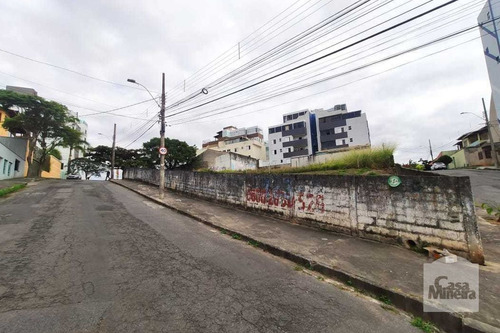 Imagem 4 de 5 de Lote À Venda No Fernão Dias - Código 267713 - 267713