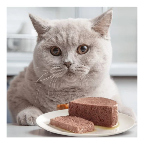 Pate Salmon Alimento Para Gatos Pack 24 Latas Felix 156 Gr