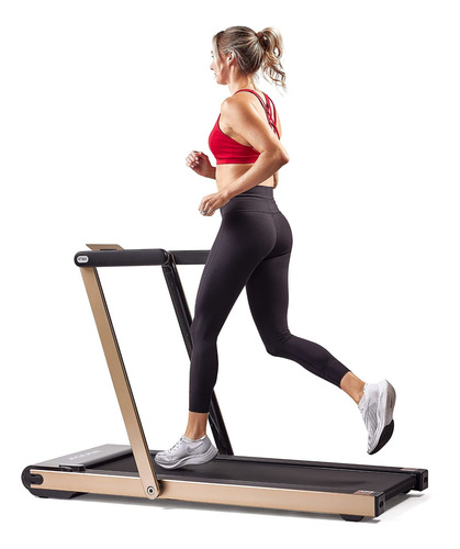 Asuna Cinta Correr Para Ahorrar Espacio