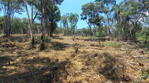 Imagem 2 de 14 de Vm41- Oportunidade! Lote A 1km Da Represa!