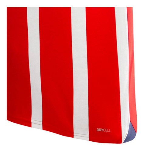 Jersey Playera Puma Chivas Guadalajara Femenil De Hombre