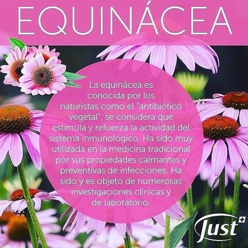 Esencia De Equinacea Just : Aumenta Las Defensas