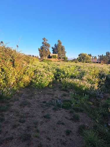 Parcela 5000m2 En Teno