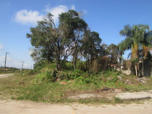 Imagem 3 de 4 de Terreno - Venda - Diplomata - Itanhaem - Ita2112