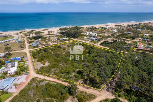 Lote En Chihuahua, Punta Ballena - Ref : Pbi2834