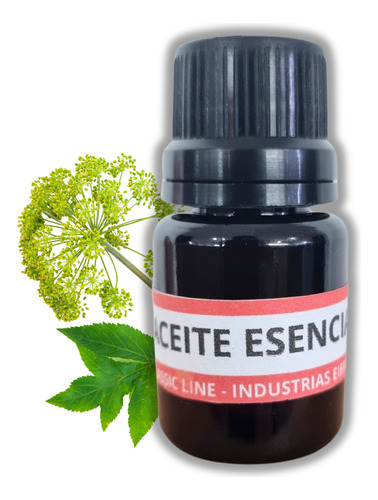 Aceite Esencial Angelica 15ml Materia Prima 