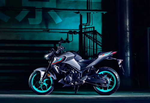 Imagen 16 de 25 de Motocicleta - Yamaha - Mt-03 A