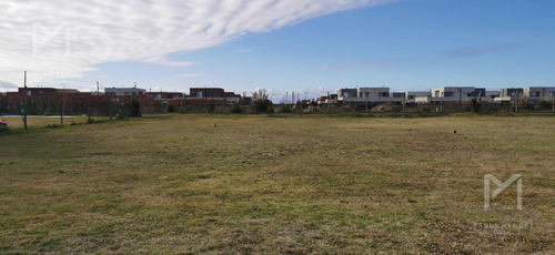 Imagen 3 de 4 de Terreno - 780 Mt2 - San Gabriel - Villanueva
