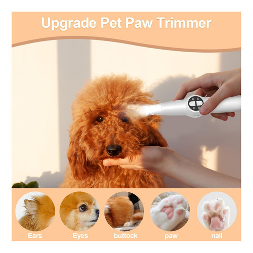 Gimpyn 2025 Paw Timper De Paw Consegura De Nave 2 En 1 De De