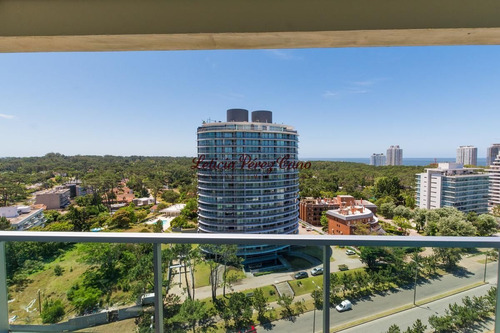 Imagen 2 de 6 de Venta Apartamento , 1 Dormitorio