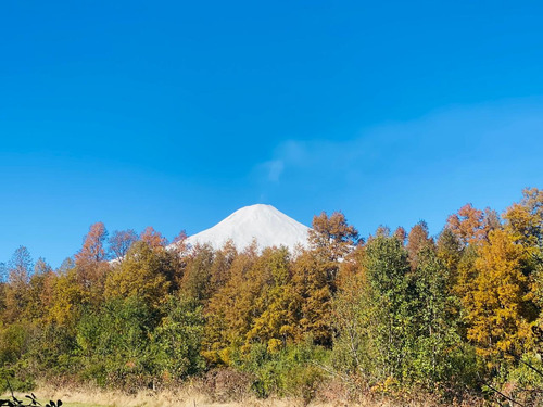 Proyecto Gran Roble Pucon Con Vista Al Volcan Y Lago