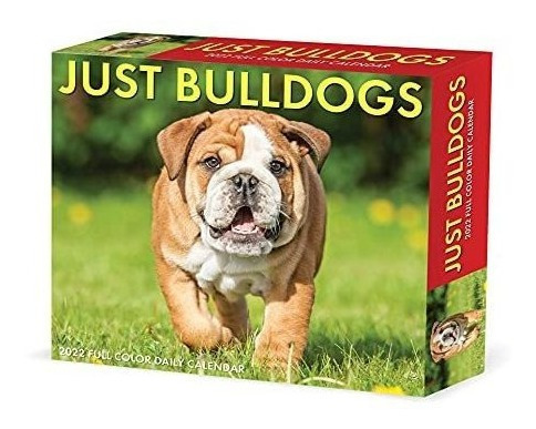 Bulldogs 2022 Box Calendar Dog Breed Daily Desktop