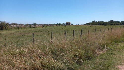 Imagen 4 de 23 de Lote 36000m2 Molino..plantas Pecan Durazno