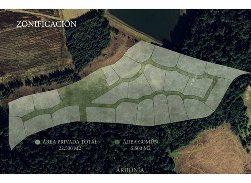 Proyecto Nuevo En Venta, Amento