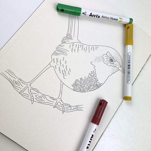 Libro Para Colorear: Fauna Y Flora - Vicky Aguirre/tapa Dura