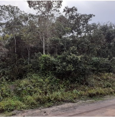 Terreno Perto Da Pista De 300 M² Em Itanhaém | Entrada 7 Mil