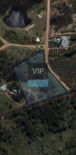 Imagen 11 de 13 de Venta Fracción Tierra Potencial Fraccionamiento - Punta Ballena Camino Lussich
