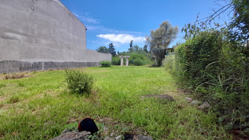 Venta Terreno B° Tres Cerritos 322 M2 (13 X 24,78)