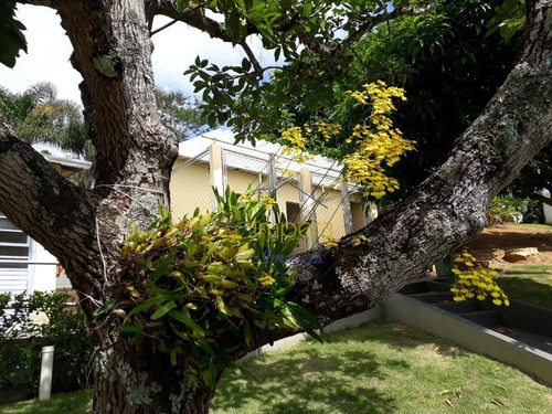 Imagem 10 de 26 de Chácara Com 3 Dormitórios À Venda, 2450 M² Por R$ 1.450.000,00 - Freitas - São José Dos Campos/sp - Ch0049