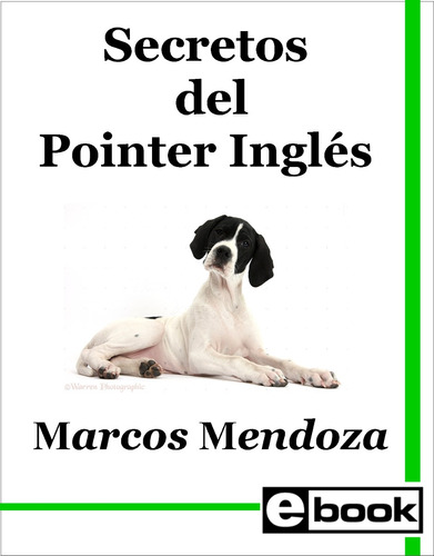 Pointer Ingles Libro Adiestramiento Cachorro Adulto Crianza