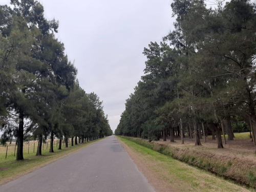Imagen 15 de 16 de Haras Club De Campo