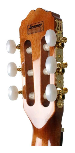 Violao Gc5ce N Tp4t Takamine Com 19 Trastes Eletrico Natural