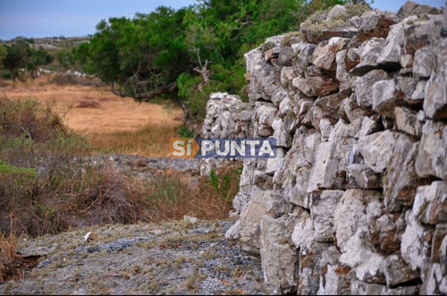 Imagen 5 de 13 de El Cerro
