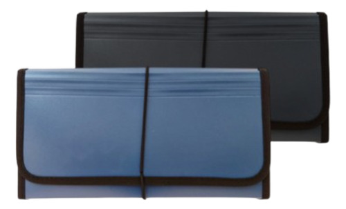 Clasificador Cheque 12 Div Archivador Fuelle Organizador Color Negro