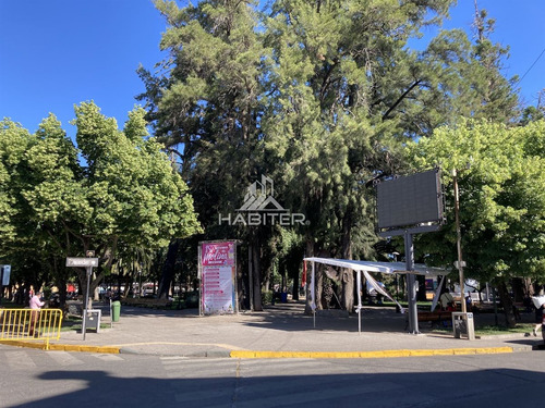 Sitio Con Ubicación Privilegiada En Molina