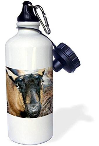 3drose Wb_156345_1 Oberhasli Goat Sports Botella De Agua, 21